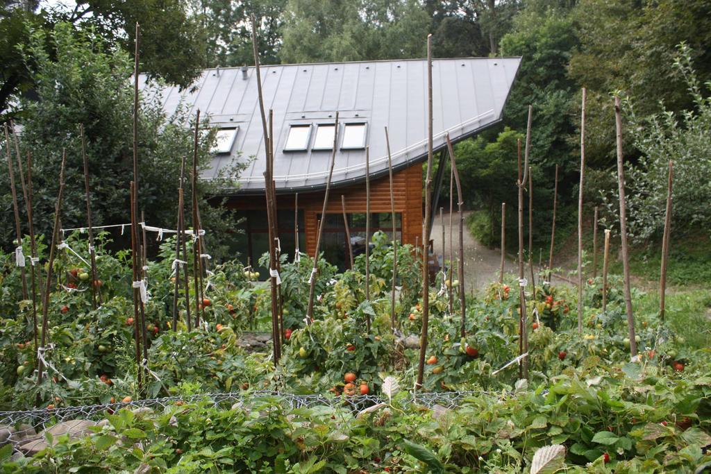 Gasthof Ekosamotnia