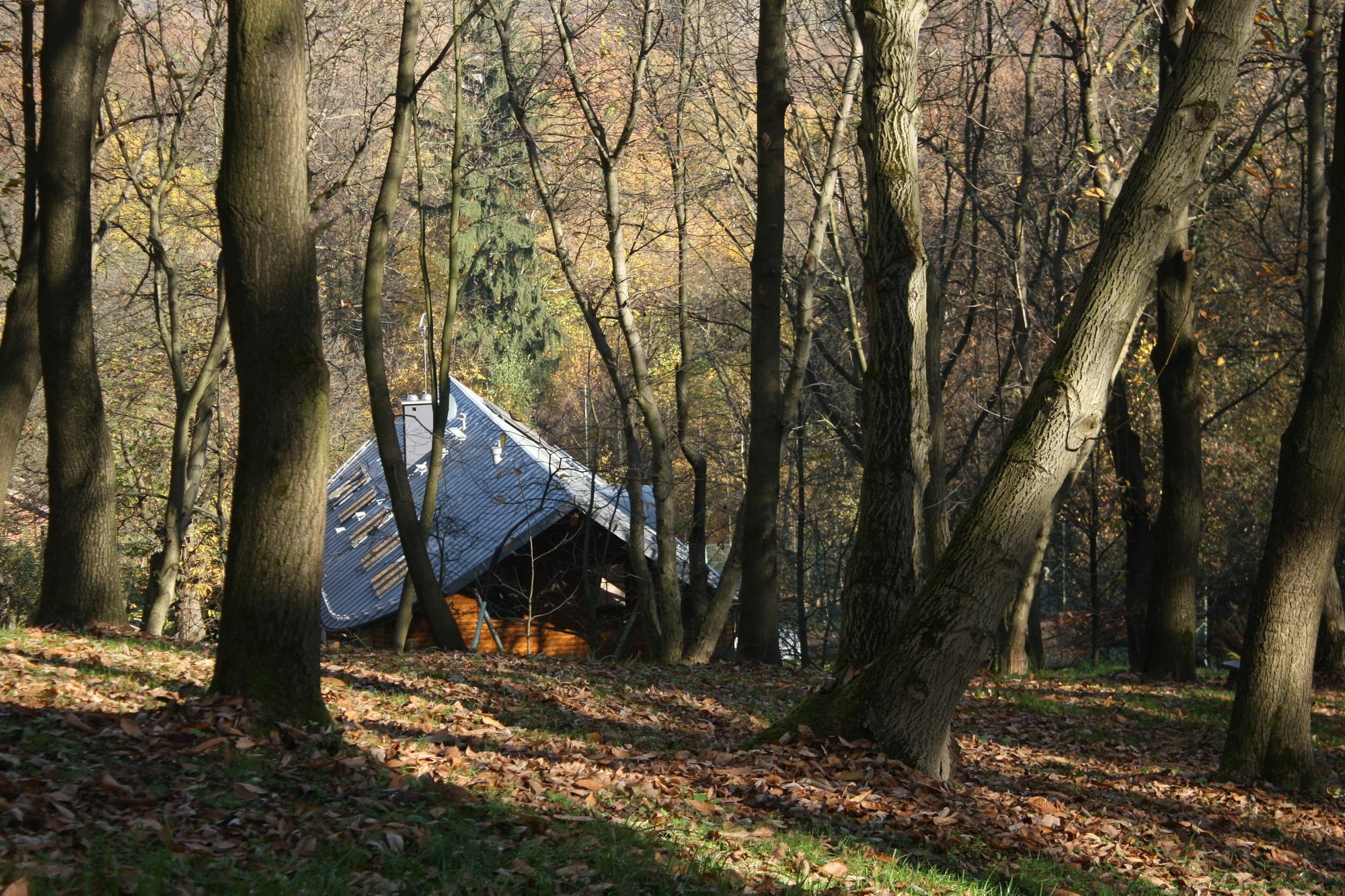 Gasthof Ekosamotnia Krakau