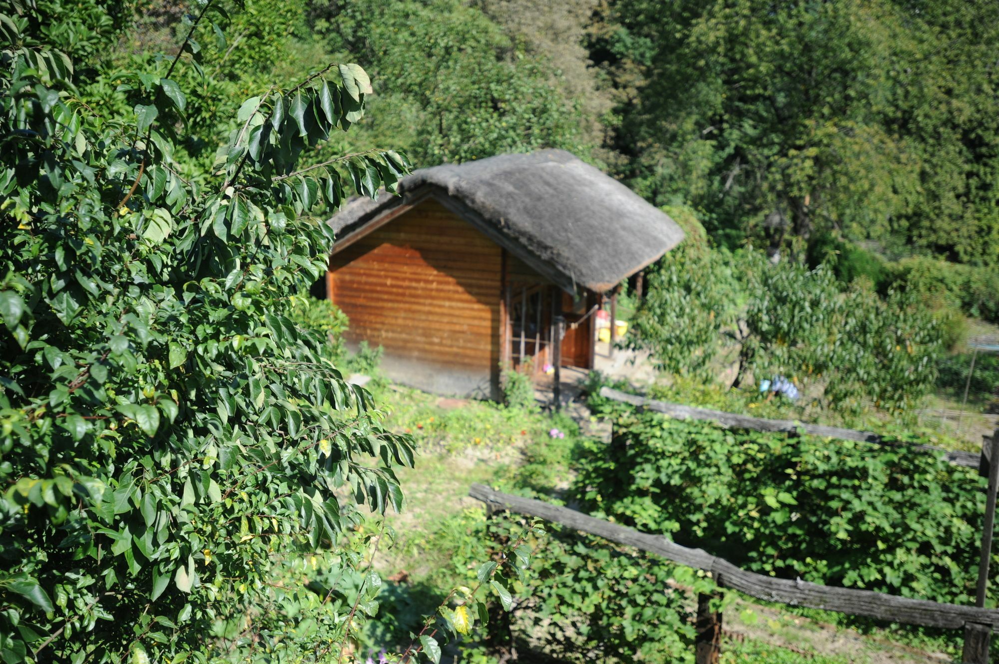 Ekosamotnia Gasthof Krakau